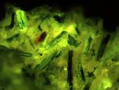 Détermination de la qualité des fibres en fluorescence